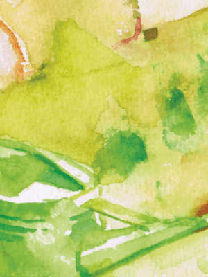 Sleepy Child Books 1-6 Collection DIGITAL