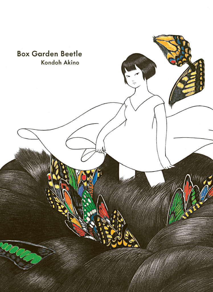 Box Garden Beetle